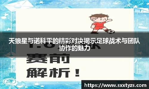 天狼星与诺科平的精彩对决揭示足球战术与团队协作的魅力